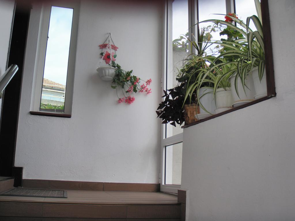 Guest House Prodanov Sozopol Extérieur photo