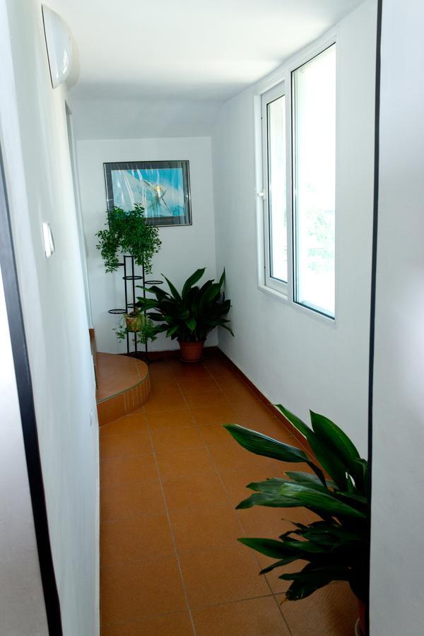 Guest House Prodanov Sozopol Extérieur photo